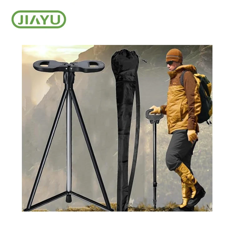 Ông già đi bộ gậy