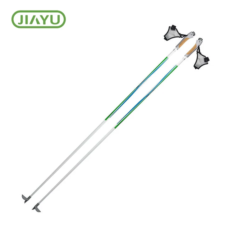 Ski Poles Núi tuyết